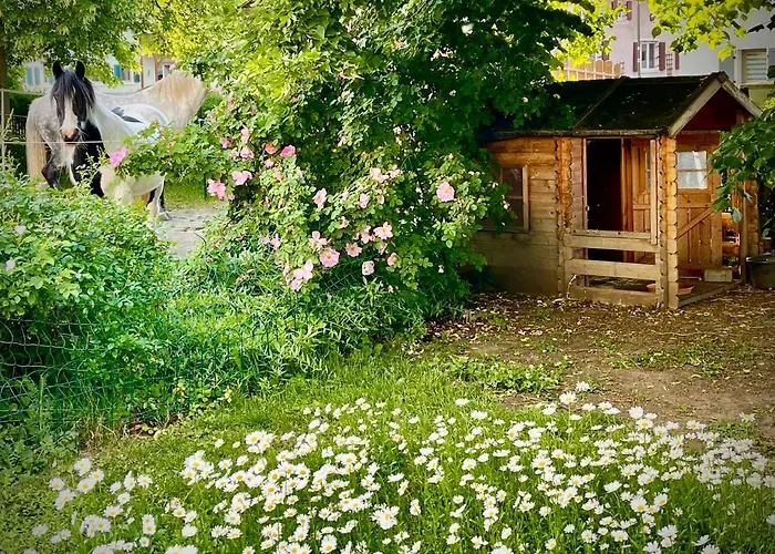 Rohrachhof *