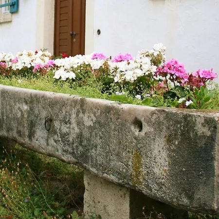Rohrachhof Тройхтлинген