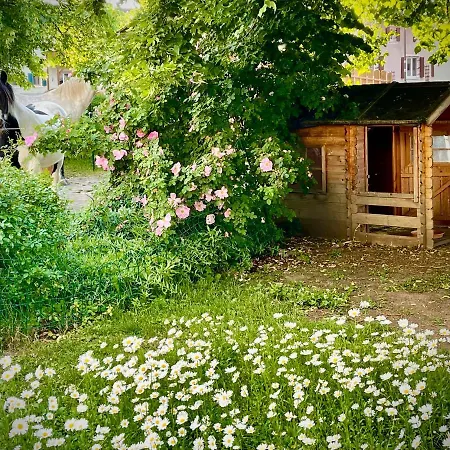 Rohrachhof *